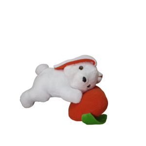 Coelho Dengoso Branco com Cenoura