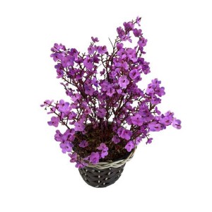 Arranjo Mosquitinho Roxo Artificial