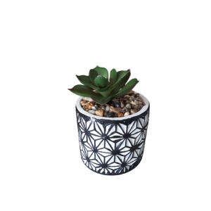 Vaso Cerâmica Desenhado Com Suculenta